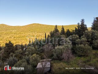 Αγροτεμάχια 9.319 τ.μ. για πώληση, Ν. Λευκάδας, Λευκάδα-thumb-5