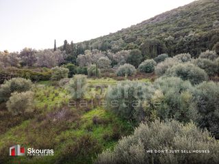 Αγροτεμάχια 9.319 τ.μ. για πώληση, Ν. Λευκάδας, Λευκάδα-thumb-8
