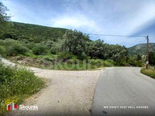 Αγροτεμάχια 9.319 τ.μ. για πώληση, Ν. Λευκάδας, Λευκάδα-thumb-10