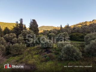 Αγροτεμάχια 9.319 τ.μ. για πώληση, Ν. Λευκάδας, Λευκάδα-thumb-6