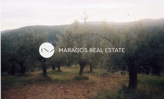 Αγροτεμάχια 43.000 τ.μ. προς πώληση, Ασκληπιείο-thumb-8