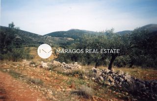 Αγροτεμάχια 43.000 τ.μ. προς πώληση, Ασκληπιείο-thumb-13