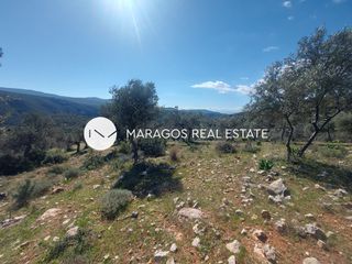 Αγροτεμάχια 43.000 τ.μ. προς πώληση, Ασκληπιείο-thumb-2