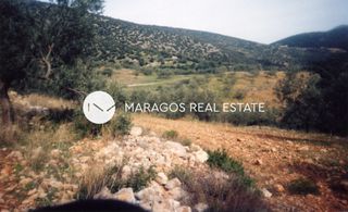 Αγροτεμάχια 43.000 τ.μ. προς πώληση, Ασκληπιείο-thumb-19
