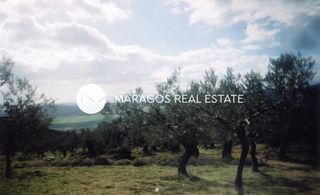 Αγροτεμάχια 43.000 τ.μ. προς πώληση, Ασκληπιείο-thumb-5