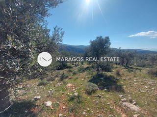 Αγροτεμάχια 43.000 τ.μ. προς πώληση, Ασκληπιείο-thumb-3