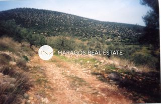 Αγροτεμάχια 43.000 τ.μ. προς πώληση, Ασκληπιείο-thumb-23