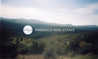 Αγροτεμάχια 43.000 τ.μ. προς πώληση, Ασκληπιείο-thumb-12