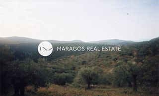 Αγροτεμάχια 43.000 τ.μ. προς πώληση, Ασκληπιείο-thumb-11