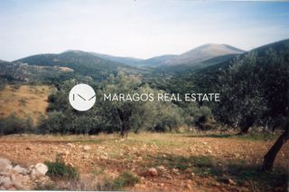Αγροτεμάχια 43.000 τ.μ. προς πώληση, Ασκληπιείο-thumb-17
