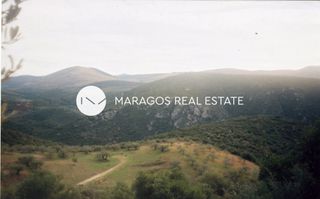 Αγροτεμάχια 43.000 τ.μ. προς πώληση, Ασκληπιείο-thumb-7