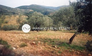 Αγροτεμάχια 43.000 τ.μ. προς πώληση, Ασκληπιείο-thumb-20