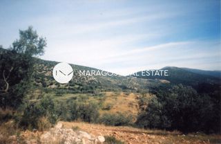 Αγροτεμάχια 43.000 τ.μ. προς πώληση, Ασκληπιείο-thumb-15