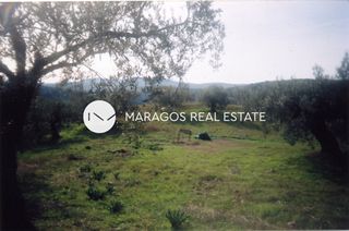 Αγροτεμάχια 43.000 τ.μ. προς πώληση, Ασκληπιείο-thumb-10
