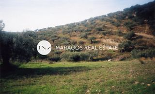 Αγροτεμάχια 43.000 τ.μ. προς πώληση, Ασκληπιείο-thumb-9