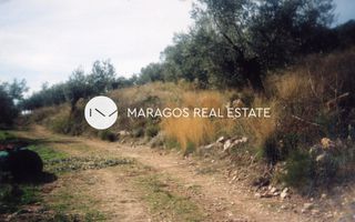 Αγροτεμάχια 43.000 τ.μ. προς πώληση, Ασκληπιείο-thumb-24