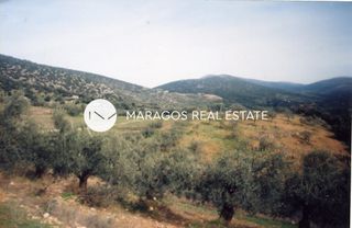 Αγροτεμάχια 43.000 τ.μ. προς πώληση, Ασκληπιείο-thumb-16