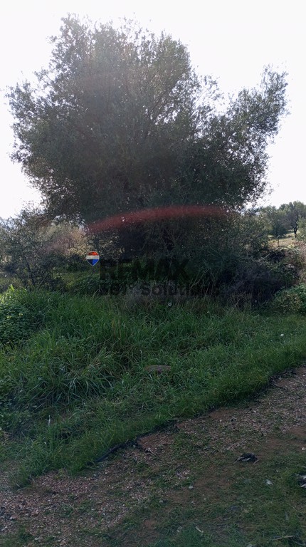 Αγροτεμάχια 6.172 τ.μ. πρός πώληση, Αθήνα - Ανατολικά Προάστια, Παιανία