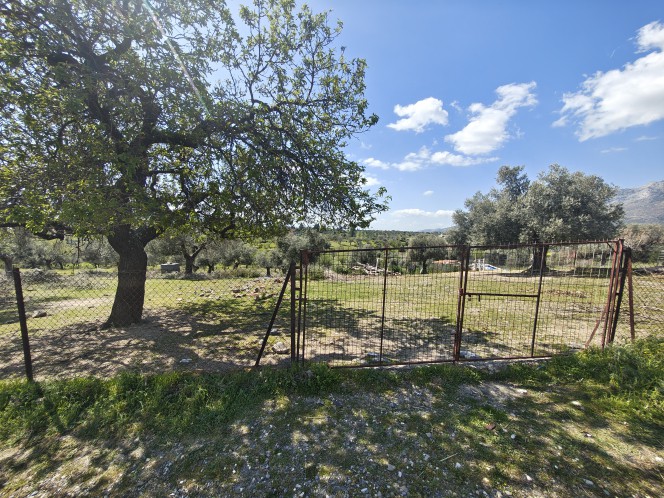 Αγροτεμάχια 5.400 τ.μ. πρός πώληση, Εύβοια, Αμάρυνθος