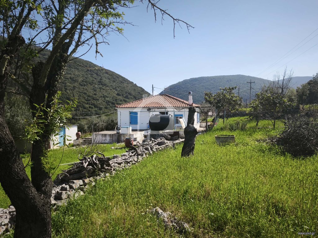 Μονοκατοικία 3.000 τ.μ. πρός πώληση, Ν. Κεφαλονιάς, Ιθάκη