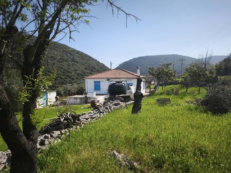Μονοκατοικία 3.000 τ.μ. προς πώληση