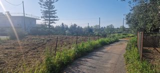 Οικόπεδο 320 τ.μ. για πώληση, Μεσσηνία, Μεσσήνη-thumb-3