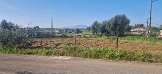 Οικόπεδο 320 τ.μ. για πώληση, Μεσσηνία, Μεσσήνη-thumb-9