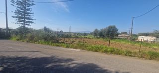 Οικόπεδο 320 τ.μ. για πώληση, Μεσσηνία, Μεσσήνη-thumb-11