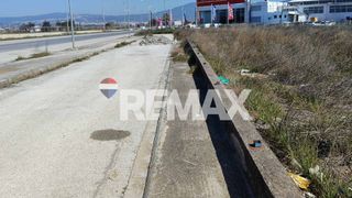 Αγροτεμάχια 3.746 τ.μ. για ενοικίαση