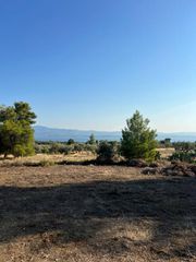 Οικόπεδο 765 τ.μ. για πώληση