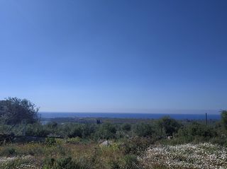 Οικόπεδο 3.136 τ.μ. για πώληση