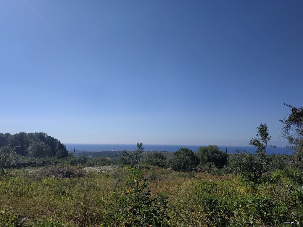 Οικόπεδο 3.136 τ.μ. πρός πώληση, Μεσσηνία, Γαργαλιάνοι