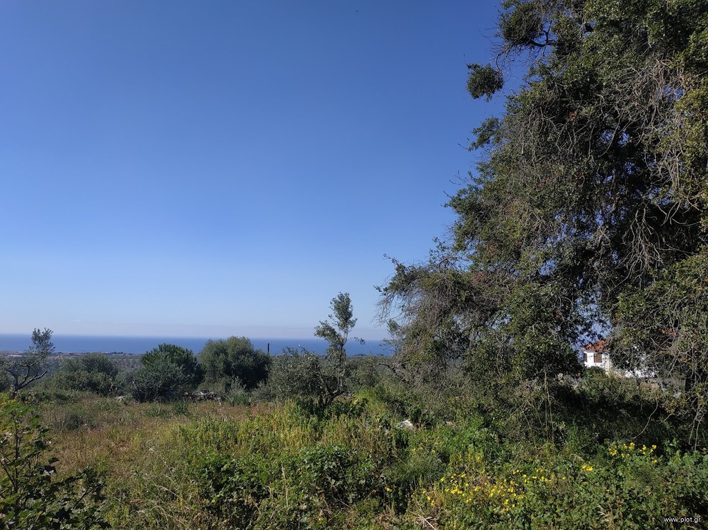 Οικόπεδο 3.136 τ.μ. πρός πώληση, Μεσσηνία, Γαργαλιάνοι