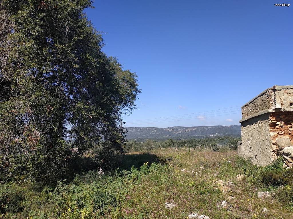 Οικόπεδο 3.136 τ.μ. πρός πώληση, Μεσσηνία, Γαργαλιάνοι