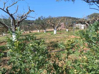 Αγροτεμάχια 7.600 τ.μ. για πώληση