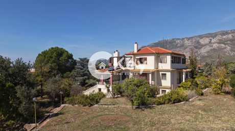 Μονοκατοικία 510 τ.μ. προς πώληση