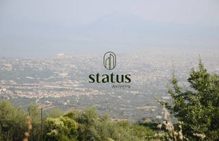 Αγροτεμάχια 1.970 τ.μ. για πώληση, Αχαΐα, Μεσσατίδα-thumb-8
