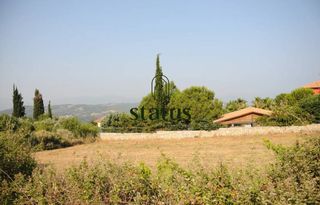 Αγροτεμάχια 1.970 τ.μ. για πώληση