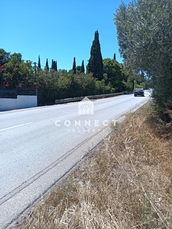 Αγροτεμάχια 4.000 τ.μ. πρός πώληση, Εύβοια, Αμάρυνθος