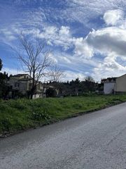 Οικόπεδο 1.000 τ.μ. για πώληση