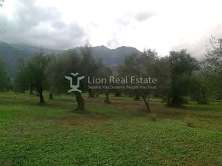 Αγροτεμάχια 5.600 τ.μ. για πώληση