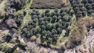 Αγροτεμάχια 4.084 τ.μ. για πώληση