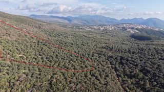 Αγροτεμάχια 15.000 τ.μ. για πώληση