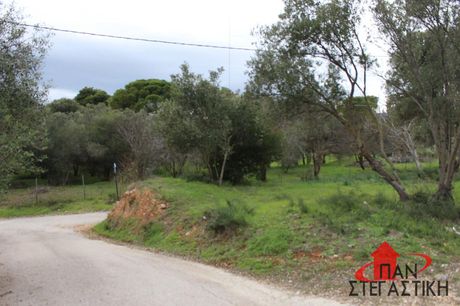Αγροτεμάχια 270 τ.μ. προς πώληση