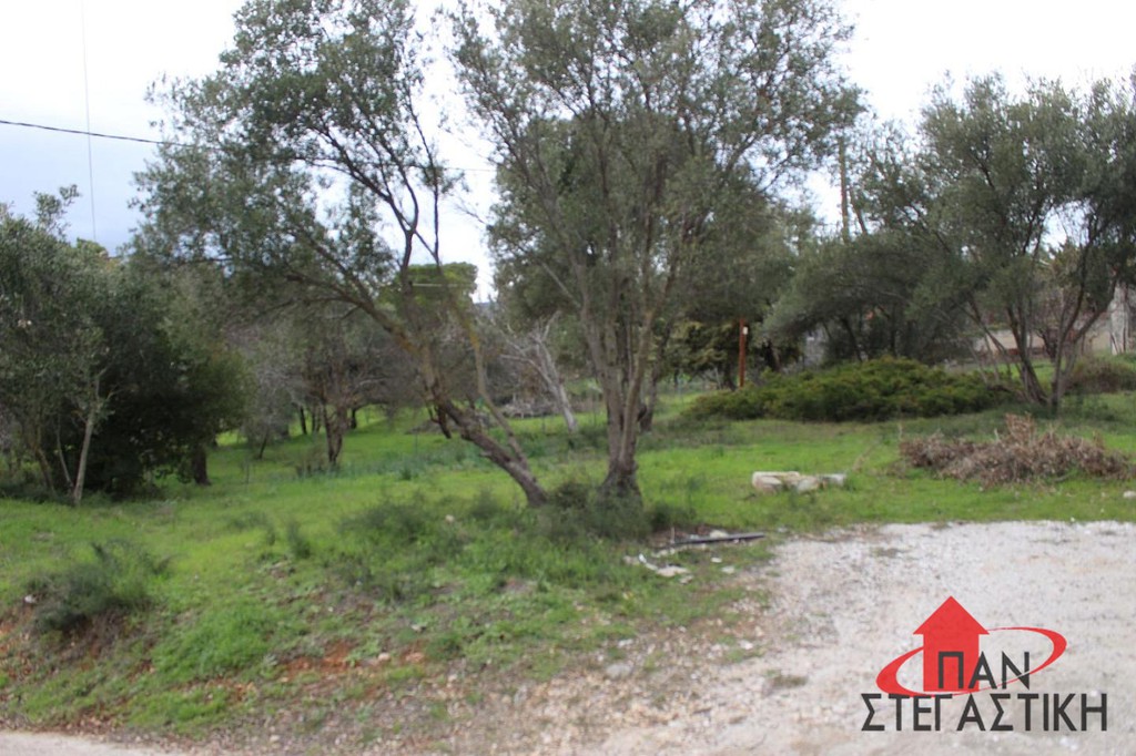 Αγροτεμάχια 270 τ.μ. πρός πώληση, Αθήνα - Βόρεια Προάστια, Κρυονέρι