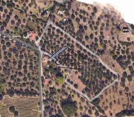 Αγροτεμάχια 9.809 τ.μ. για πώληση