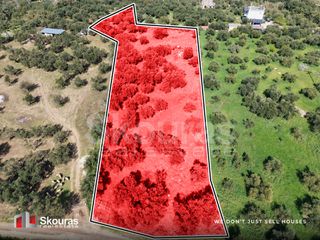 Οικόπεδο 4.683 τ.μ. για πώληση, Μεσσηνία, Κυπαρισσία-thumb-4