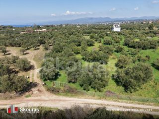 Οικόπεδο 4.683 τ.μ. για πώληση, Μεσσηνία, Κυπαρισσία-thumb-19