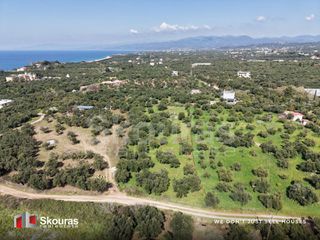 Οικόπεδο 4.683 τ.μ. για πώληση, Μεσσηνία, Κυπαρισσία-thumb-18
