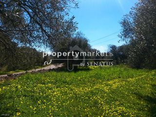 Οικόπεδο 530 τ.μ. για πώληση, Ν. Λασιθίου, Άγιος Νικόλαος-thumb-3